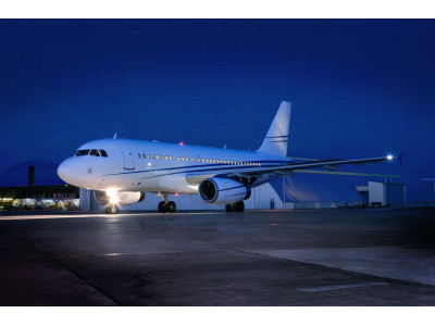 Самолёт Airbus A319 VIP Самолёт Airbus A319 VIP